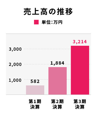 売上高の推移